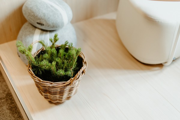 20230626 mediatekazakopane full min