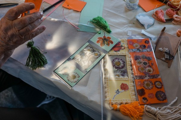 dsc05330